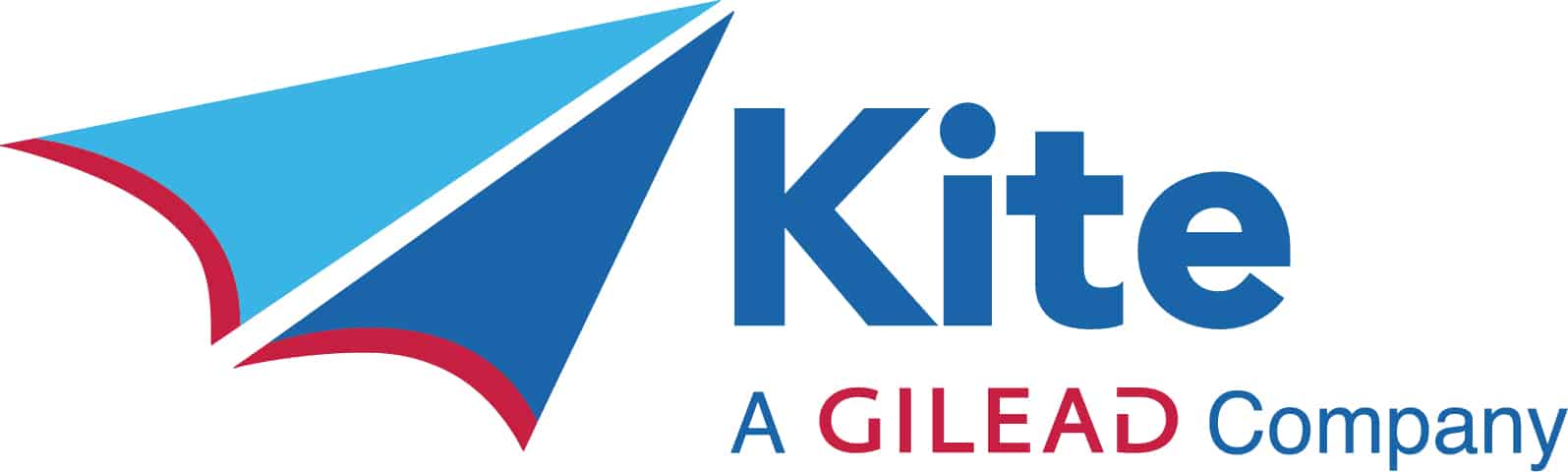 NEW KITE COLOR LOGO Kite Logo