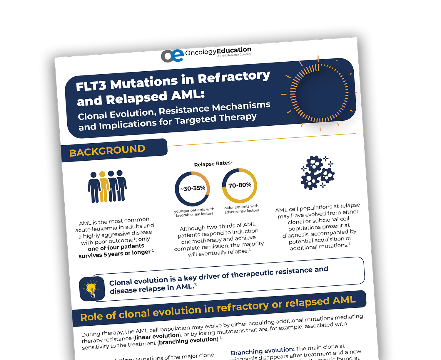 FLT3 Mutations infographic image