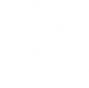 icon-lung